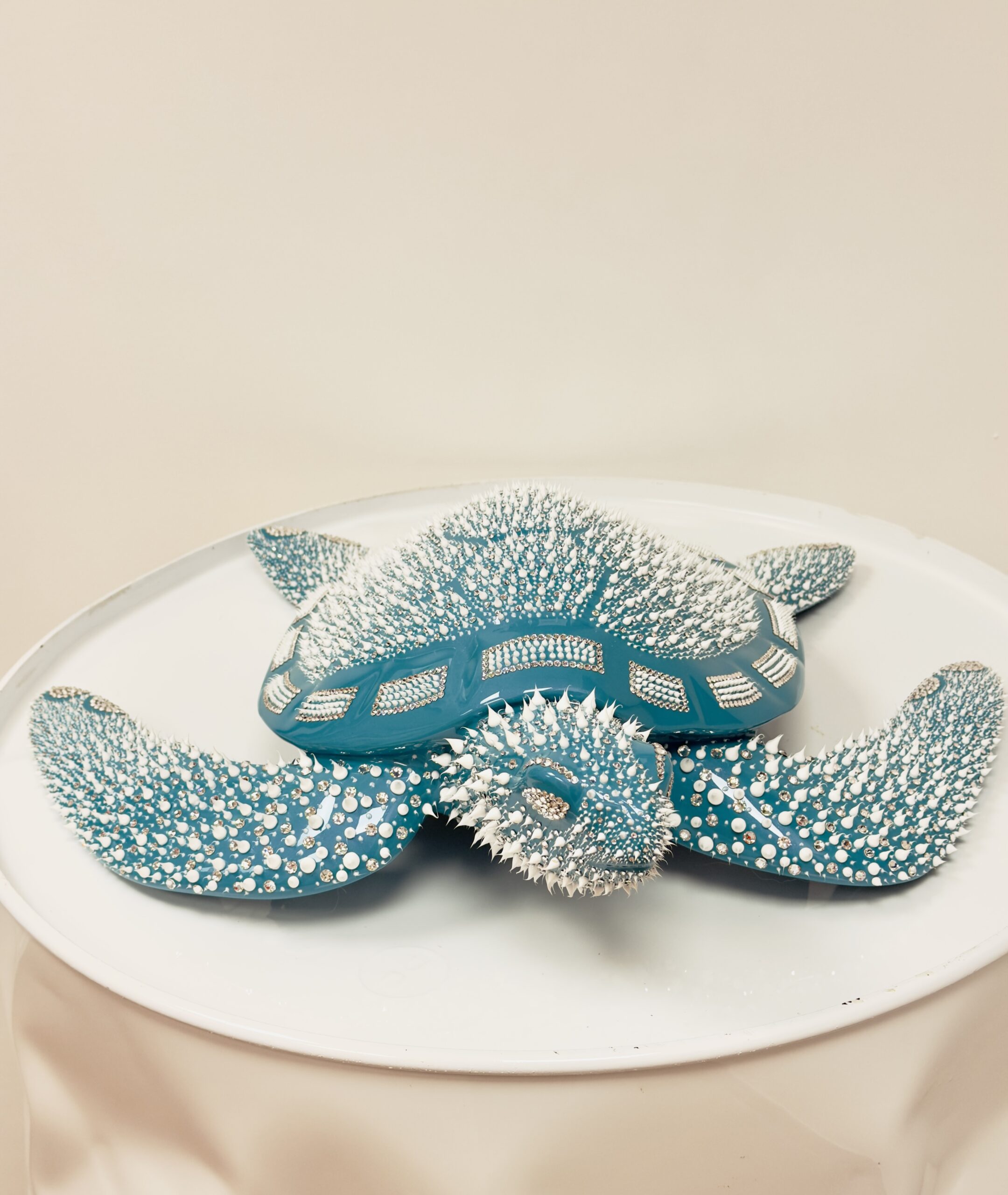 Turquoise Turtle – Image 7